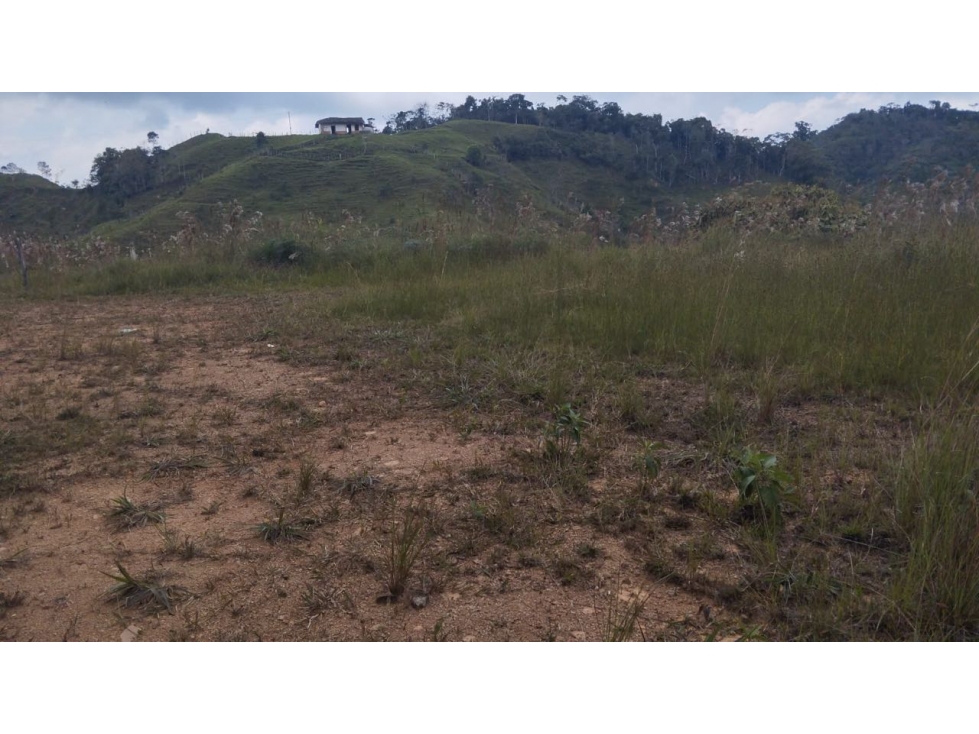 Venta LOTE en SANTO DOMINGO cerca al pueblo - 4