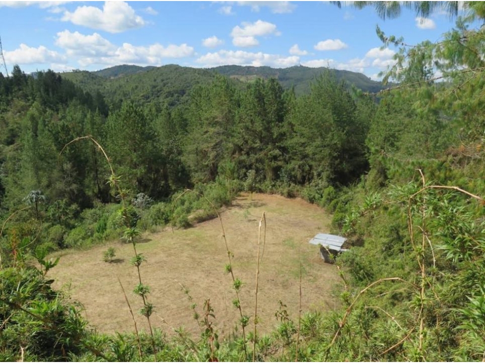 Venta lote en unidad cerrada con bosques nativo - 1