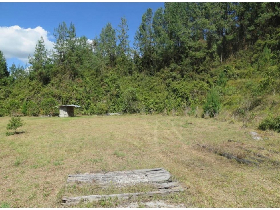 Venta lote en unidad cerrada con bosques nativo - 2