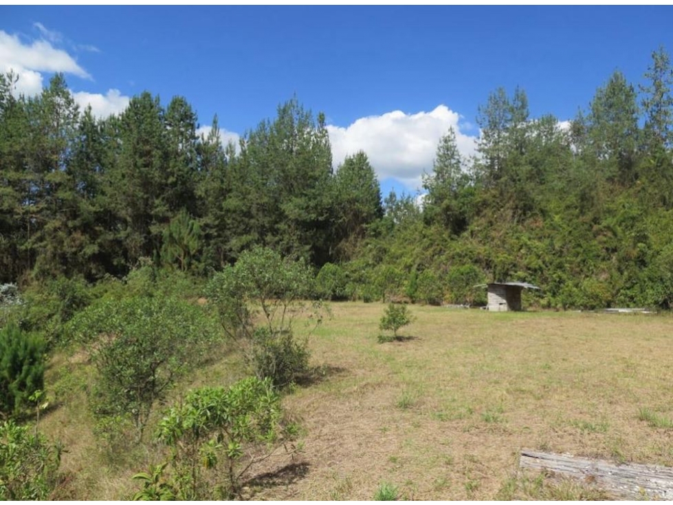 Venta lote en unidad cerrada con bosques nativo - 3