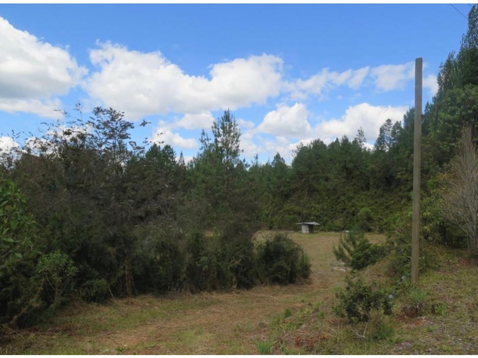 Venta lote en unidad cerrada con bosques nativo - 5