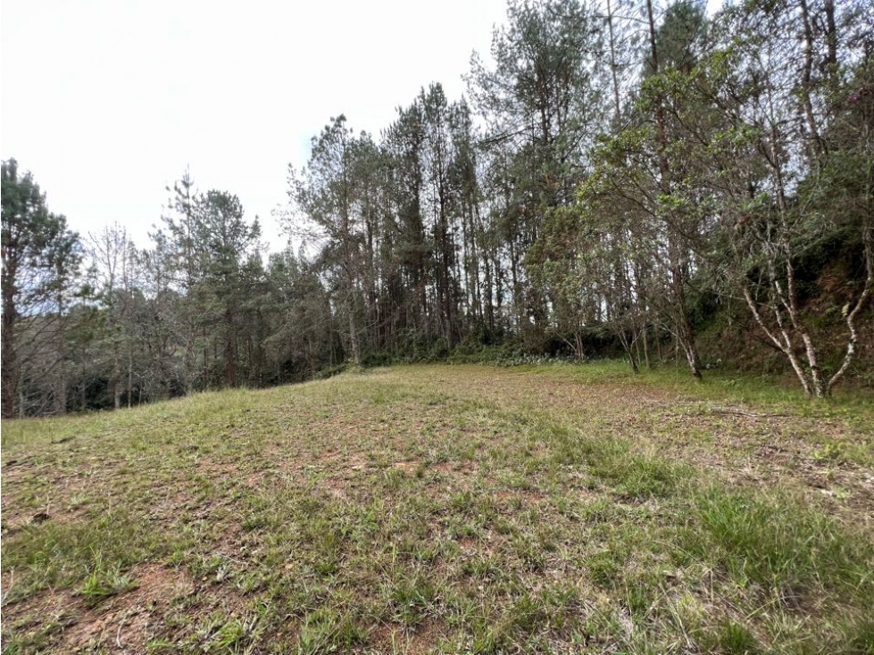 Venta lote en unidad cerrada con bosques nativo - 6