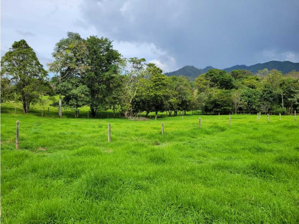Venta Lote en Unidad Cerrada el Retiro sector la Maria — foto 6