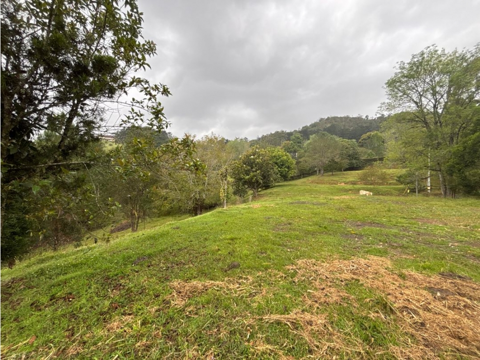 Venta lote en unidad cerrada en Fizebad El Retiro — foto 2