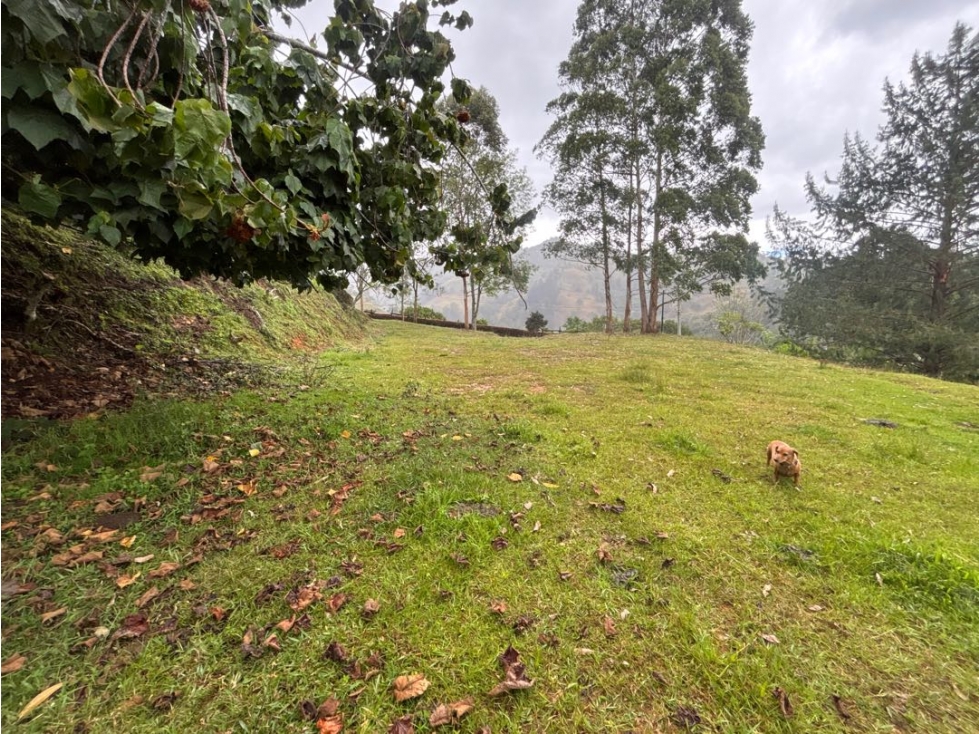 Venta lote en unidad cerrada en Fizebad El Retiro — foto 4
