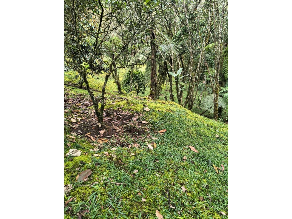 Venta OPORTUNIDAD Lote Envigado Sector La Catedral en Parcelación — foto 6