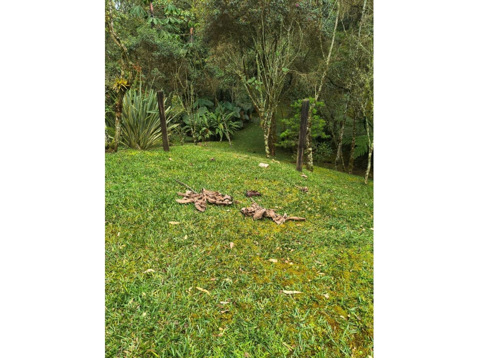 Venta OPORTUNIDAD Lote Envigado Sector La Catedral en Parcelación — foto 5