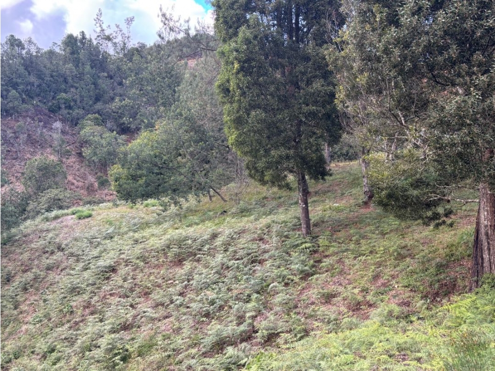 Venta de Lote el Alto del Escobero Unidad Cerrada Cerca a Colegios — foto 6