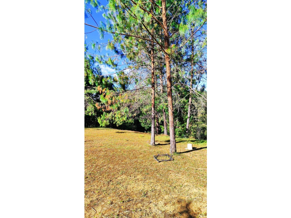 Venta lote Escobero parcelación — foto 4