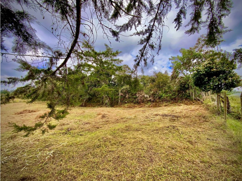 Venta Espectacular lote con Vista Parcelación Via San Antonio La Ceja — foto 2