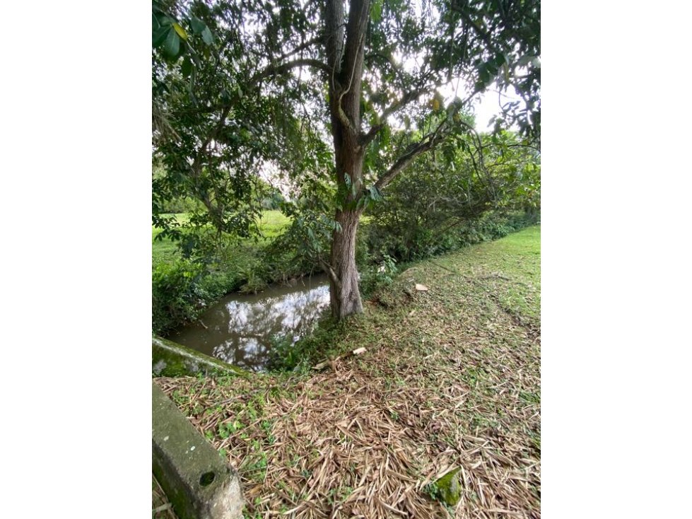 LOTE EN VENTA VIA CALI JAMUNDI - 5