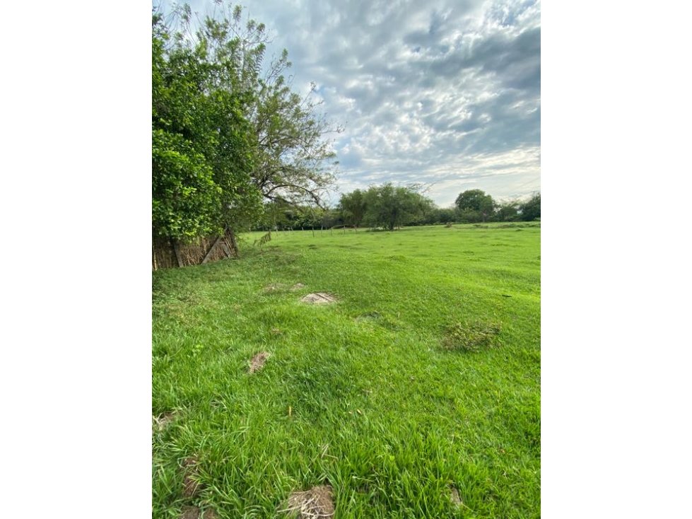 LOTE EN VENTA VIA CALI JAMUNDI - 4