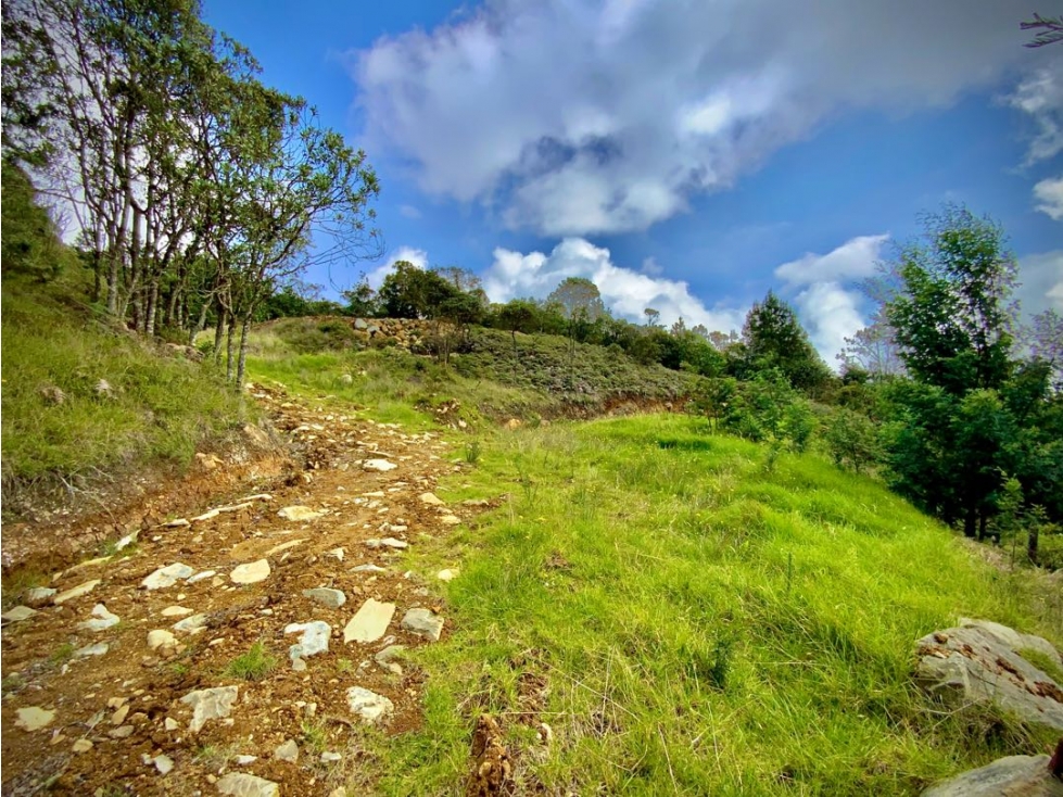 Venta Lote Exótica Vista y Bosque Variante Aeropuerto Envigado — foto 2
