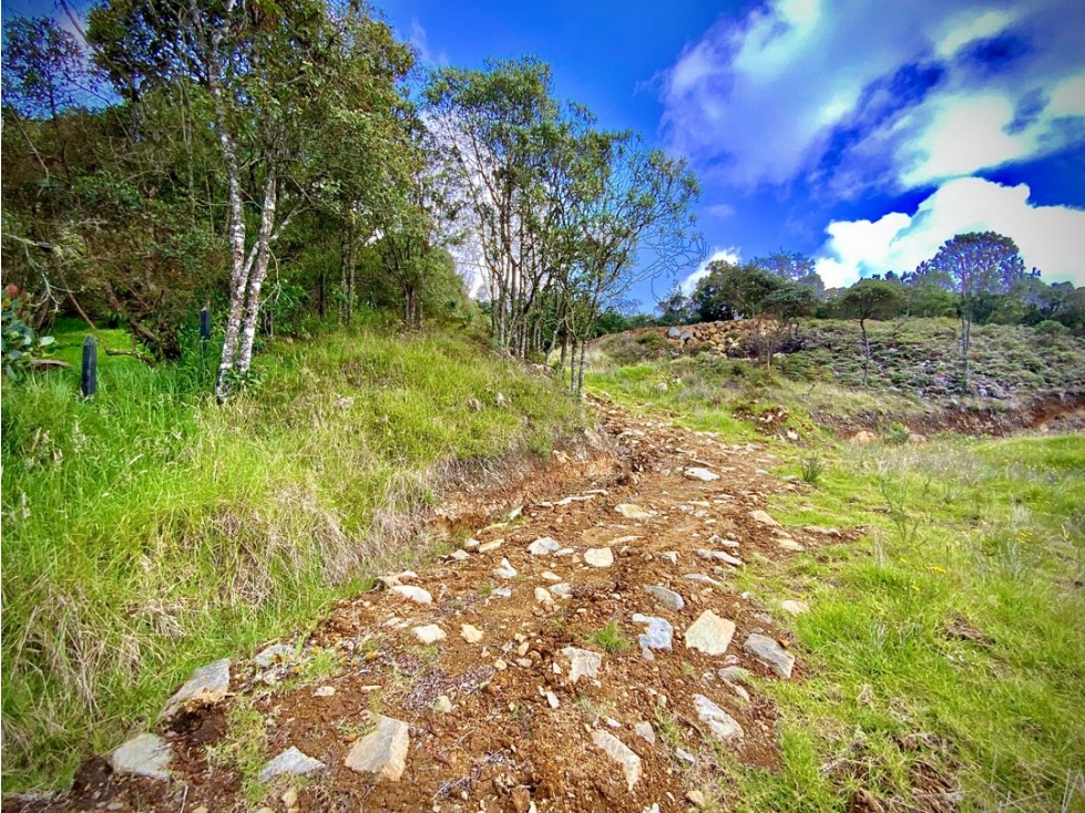 Venta Lote Exótica Vista y Bosque Variante Aeropuerto Envigado — foto 3