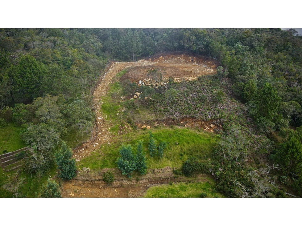 Venta Lote Exótica Vista y Bosque Variante Aeropuerto Envigado — foto 6