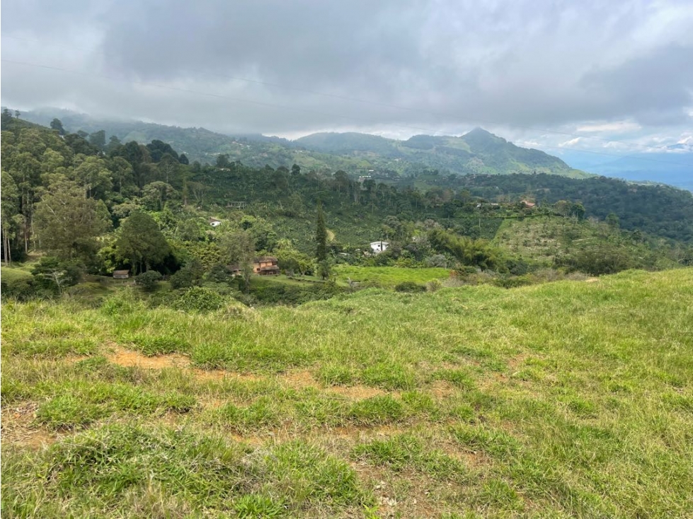 VENTA LOTE FREDONIA SUROESTE ANTIOQUEÑO. - 3