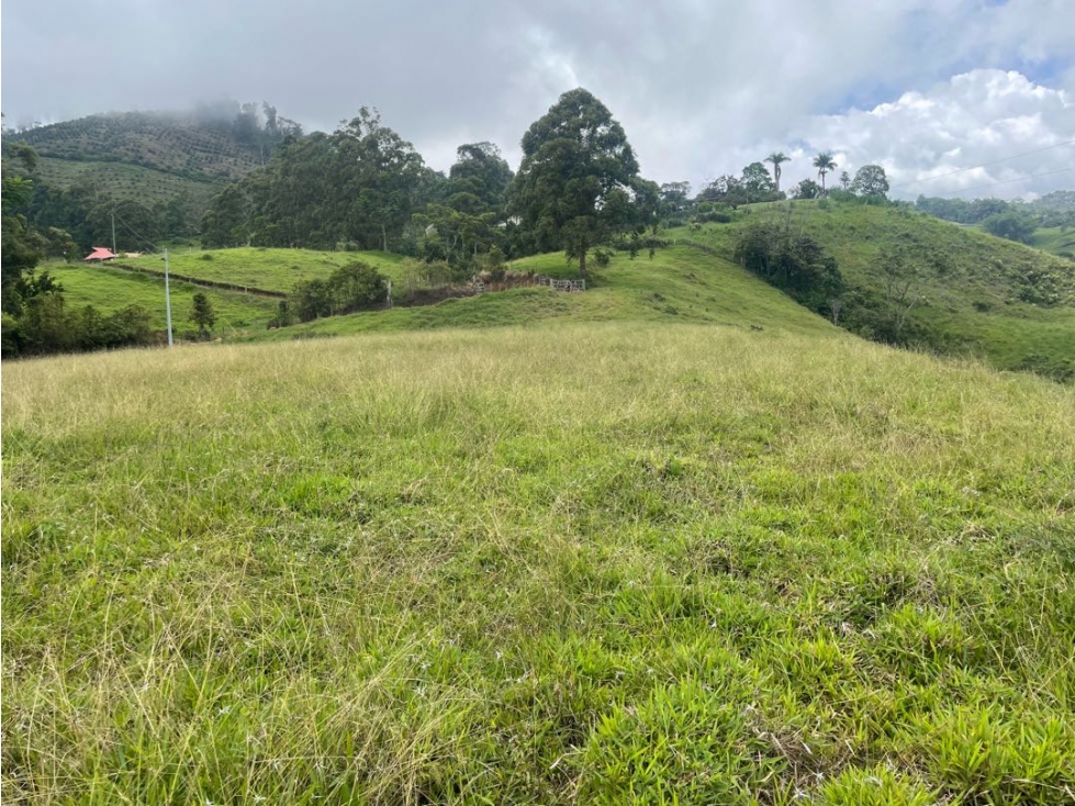 VENTA LOTE FREDONIA SUROESTE ANTIOQUEÑO. - 4