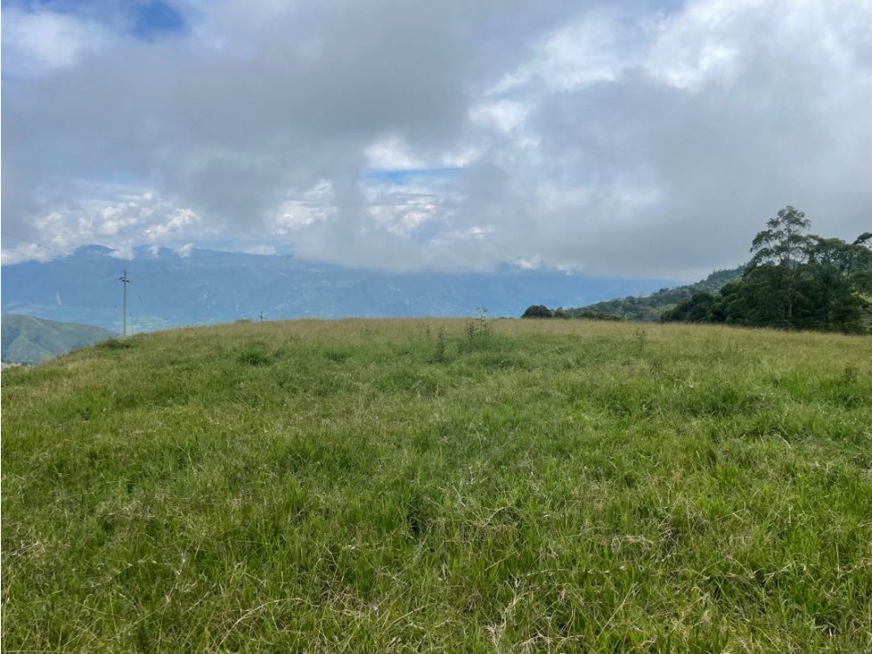 VENTA LOTE FREDONIA SUROESTE ANTIOQUEÑO. - 5