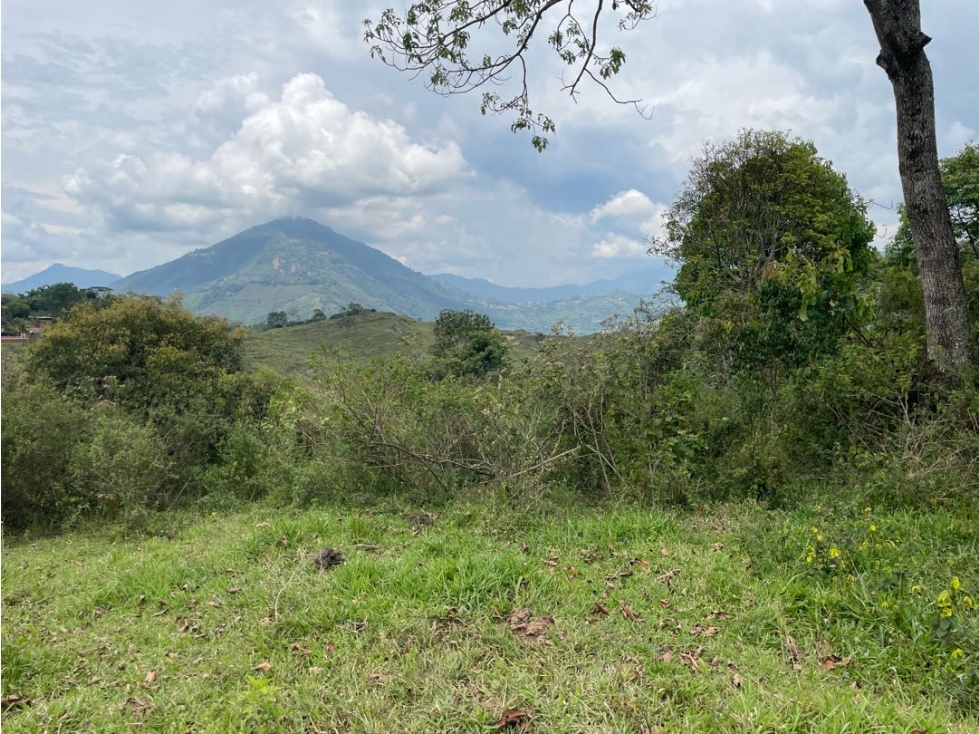 VENTA LOTE FREDONIA SUROESTE ANTIOQUEÑO - 1