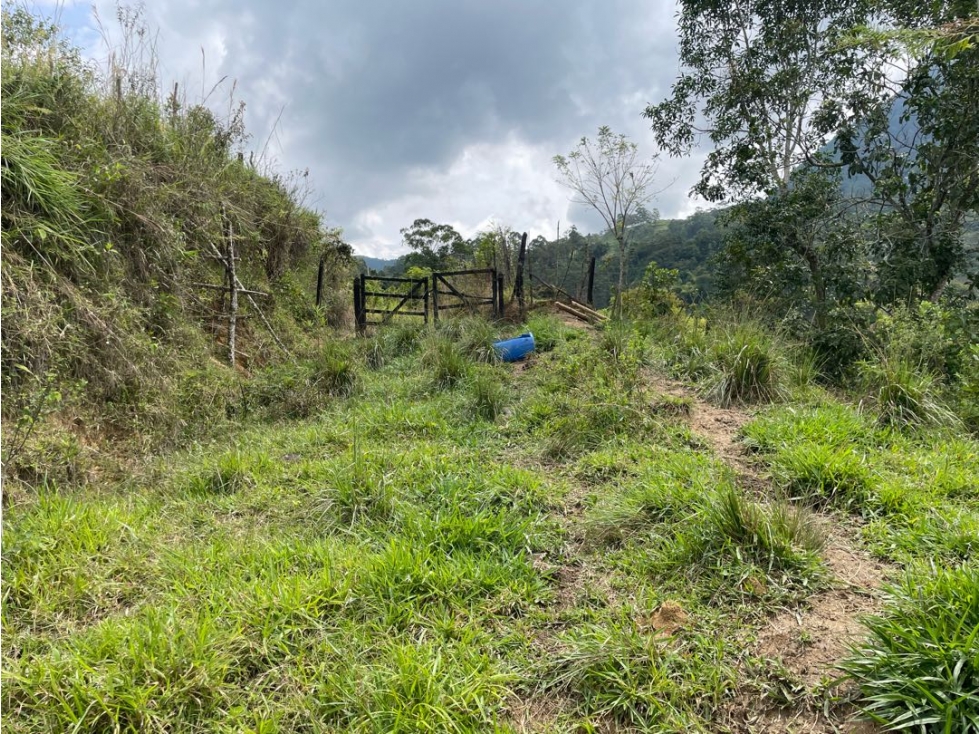VENTA LOTE FREDONIA SUROESTE ANTIOQUEÑO - 2
