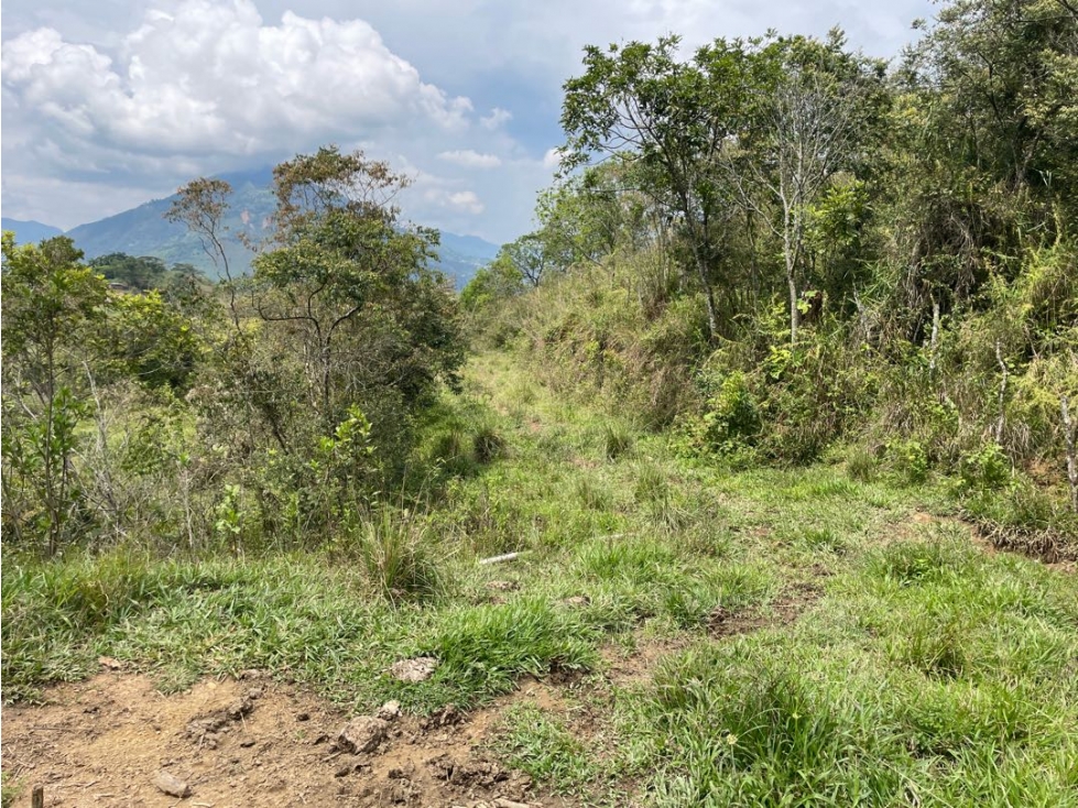 VENTA LOTE FREDONIA SUROESTE ANTIOQUEÑO - 3