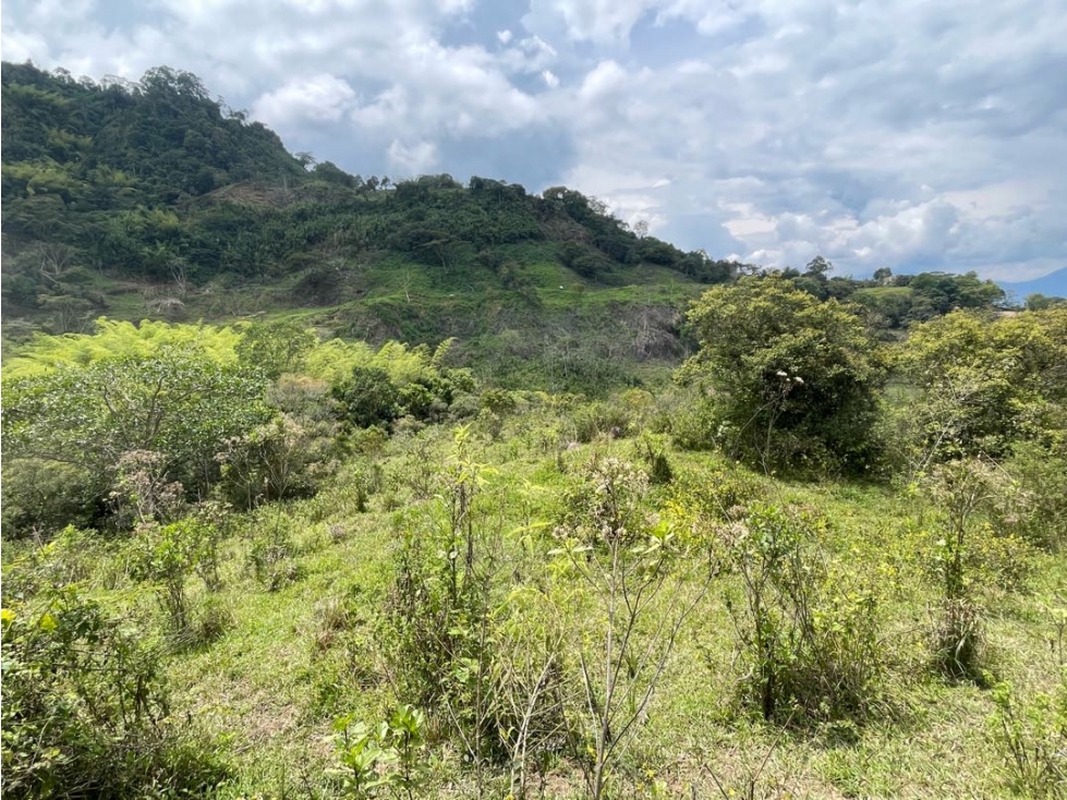 VENTA LOTE FREDONIA SUROESTE ANTIOQUEÑO - 4