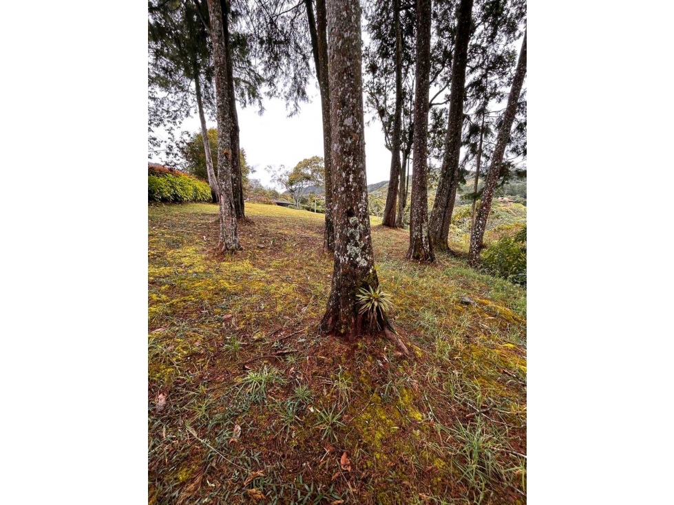 Venta lote Fizebad Unidad Cerrada — foto 2