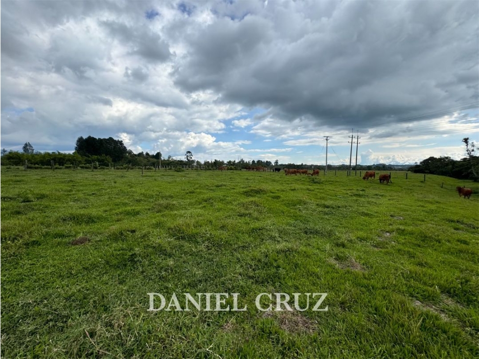 VENTA LOTE GENAGRA - POPAYÁN - 1