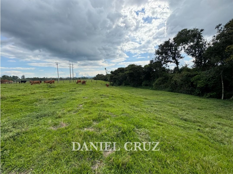 VENTA LOTE GENAGRA - POPAYÁN - 2