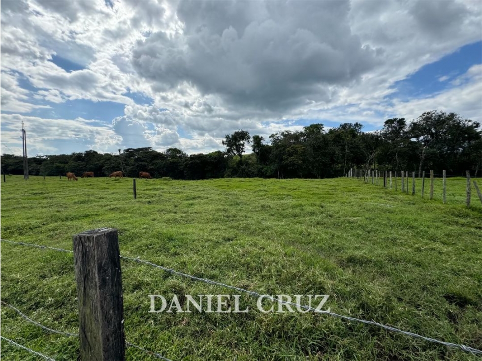 VENTA LOTE GENAGRA - POPAYÁN - 4
