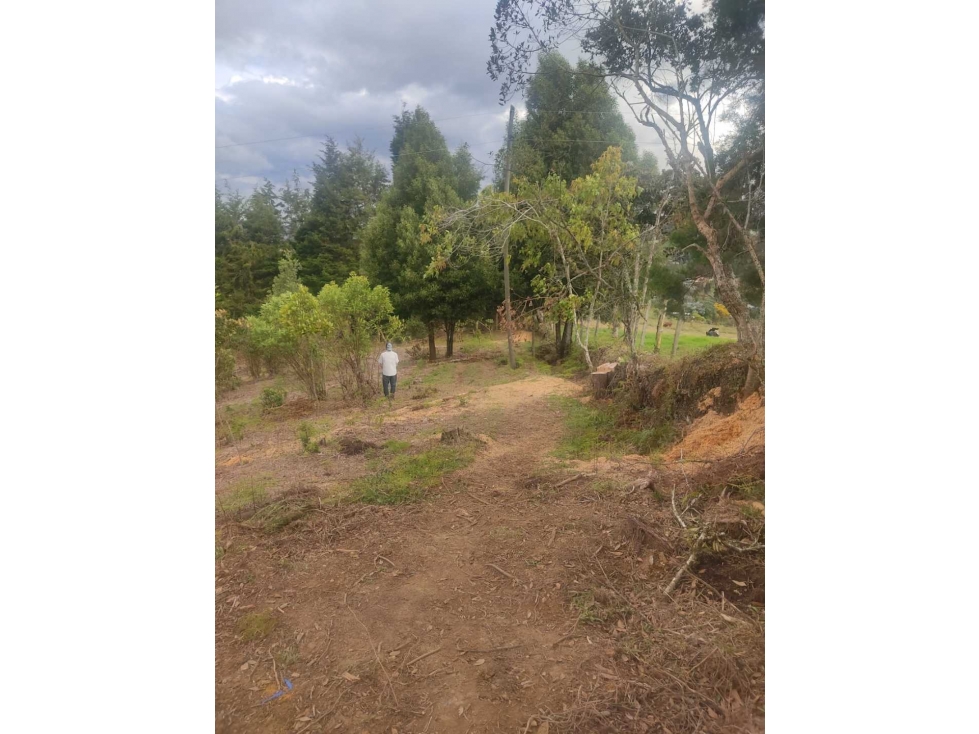 VENTA LOTE GUARNE (SAN ISIDRO) - 3