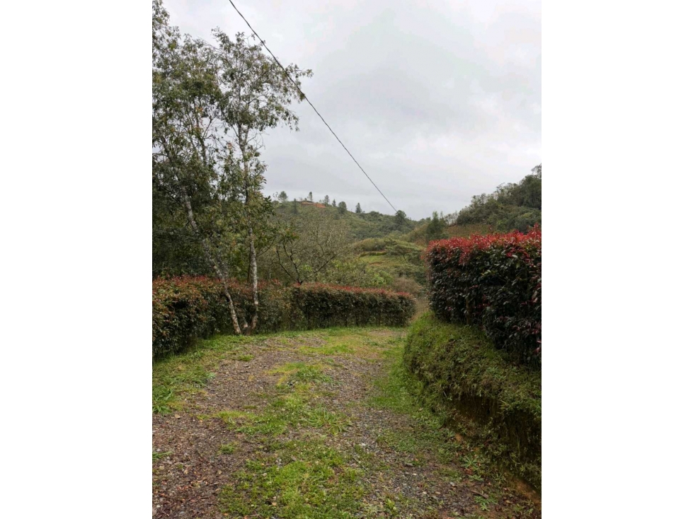 Venta Lote Guarne Vereda Yolombal