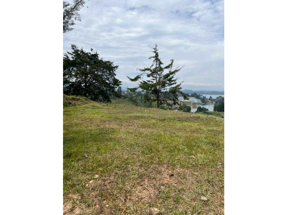 Venta Lote Guatapé Antioquia — foto 2