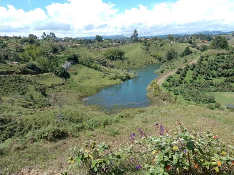 Venta Lote Guatapé Antioquia — foto 3