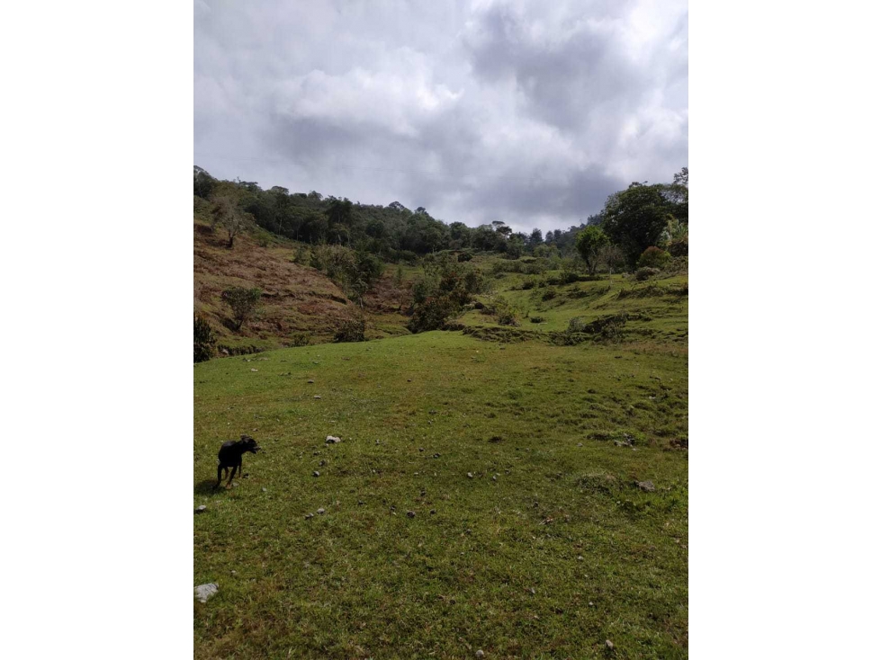 Venta lote guatape con salida al embalse — foto 3