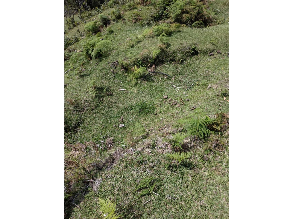 Venta lote guatape con salida al embalse — foto 4