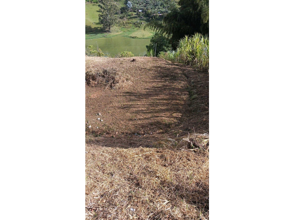 Venta Lote Guatape Frente Al Lago — foto 4