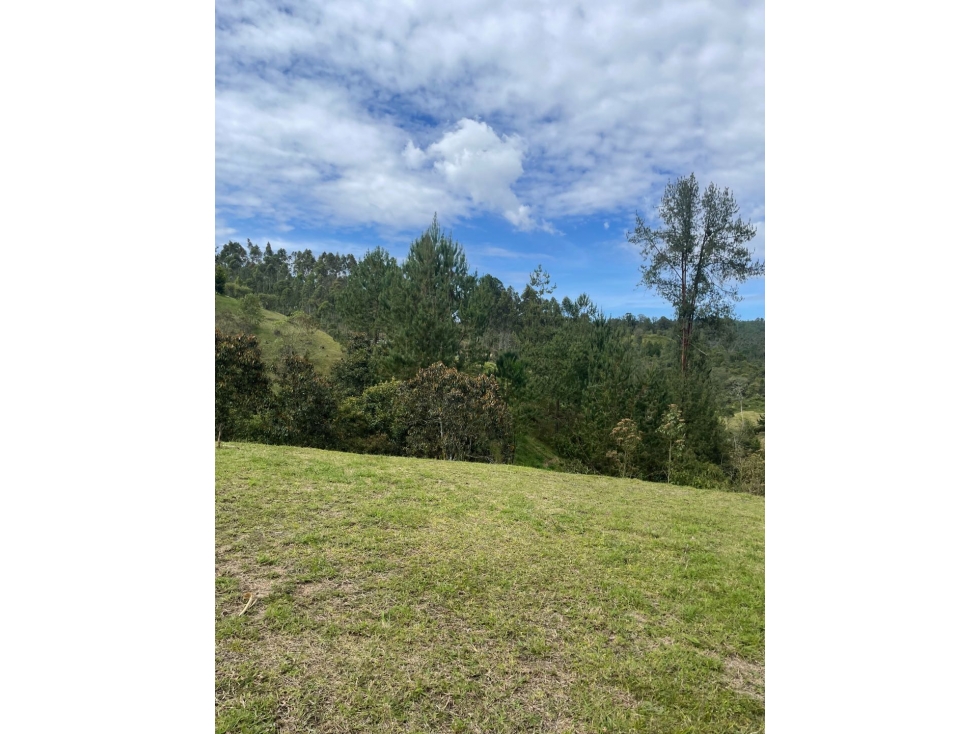 Venta lote Horizontes parcelación el Retiro Antioquia — foto 4