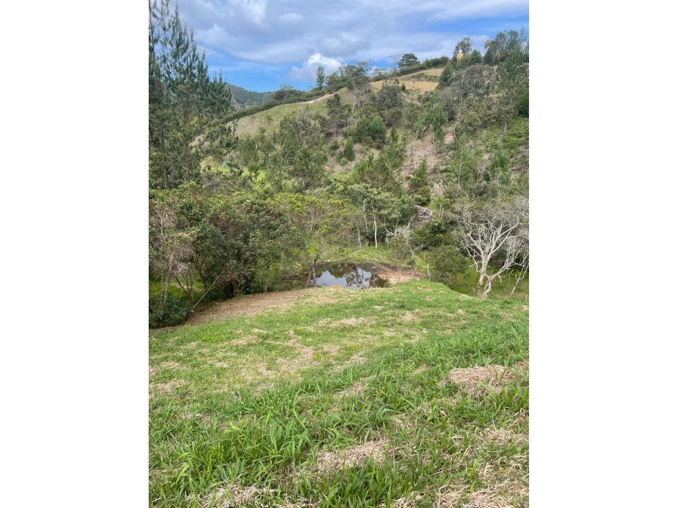 Venta lote Horizontes parcelación el Retiro Antioquia — foto 5