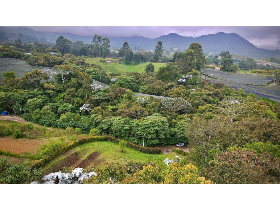 Venta Lote Independiente Via San Antonio La Ceja Agua y Hermosa Vista — foto 3