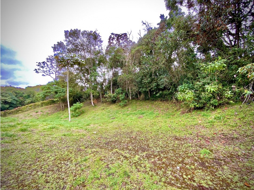 Venta Lote Independiente Via San Antonio La Ceja Agua y Hermosa Vista — foto 4