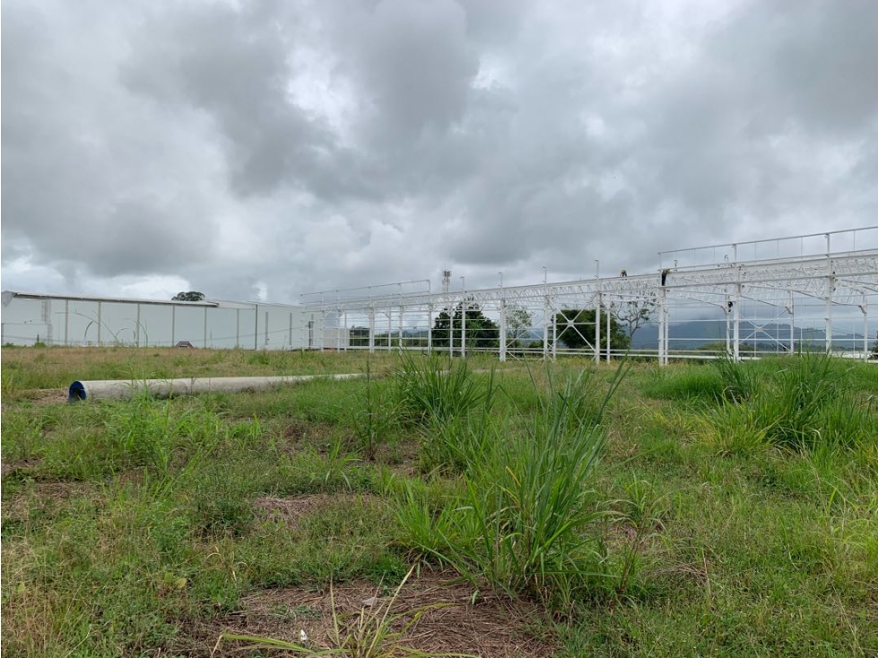 VENTA LOTE INDUSTRIAL EN CERRITOS PEREIRA