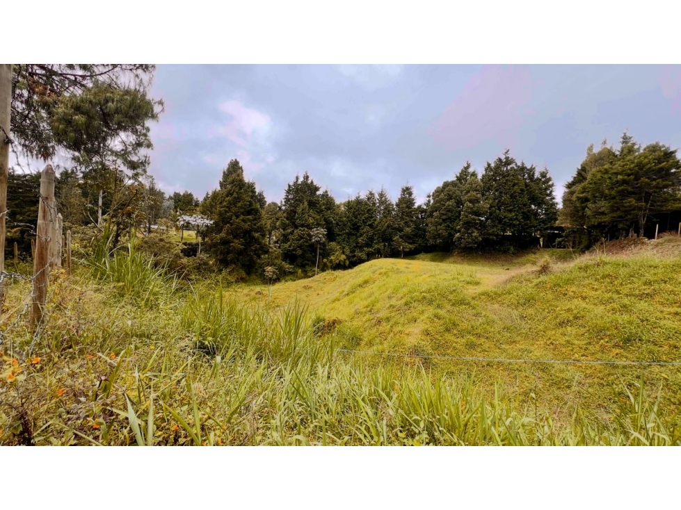 Venta Lote Industrial Guarne Para Bodega Autopista Medellin Bogota — foto 5