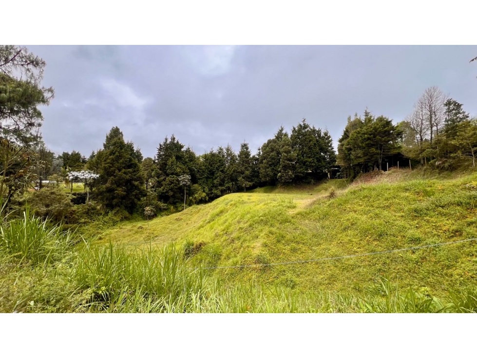 Venta Lote Industrial Guarne Para Bodega Autopista Medellin Bogota — foto 2