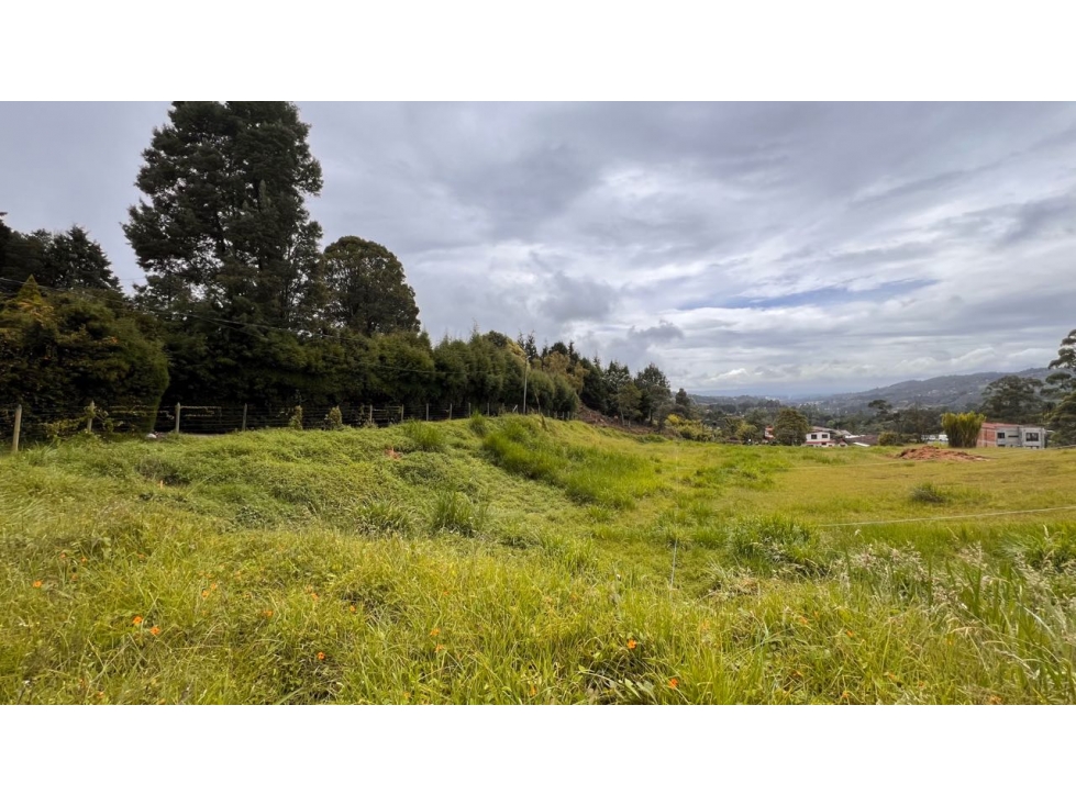 Venta Lote Industrial Guarne Para Bodega Autopista Medellin Bogota — foto 4