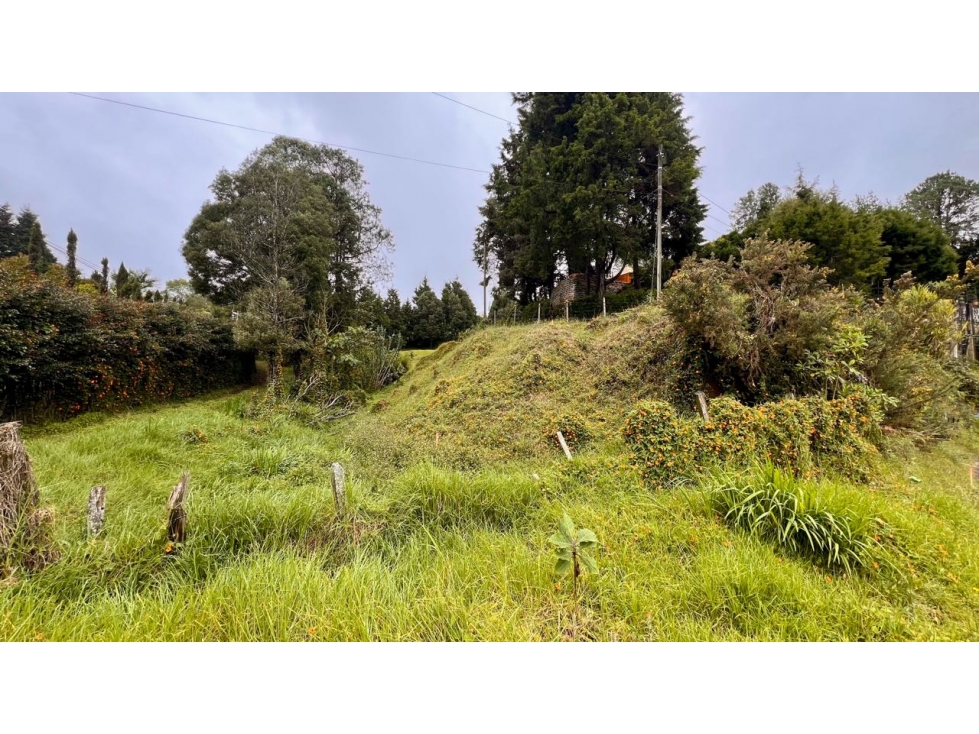 Venta Lote Industrial Guarne Para Bodega Autopista Medellin Bogota — foto 3