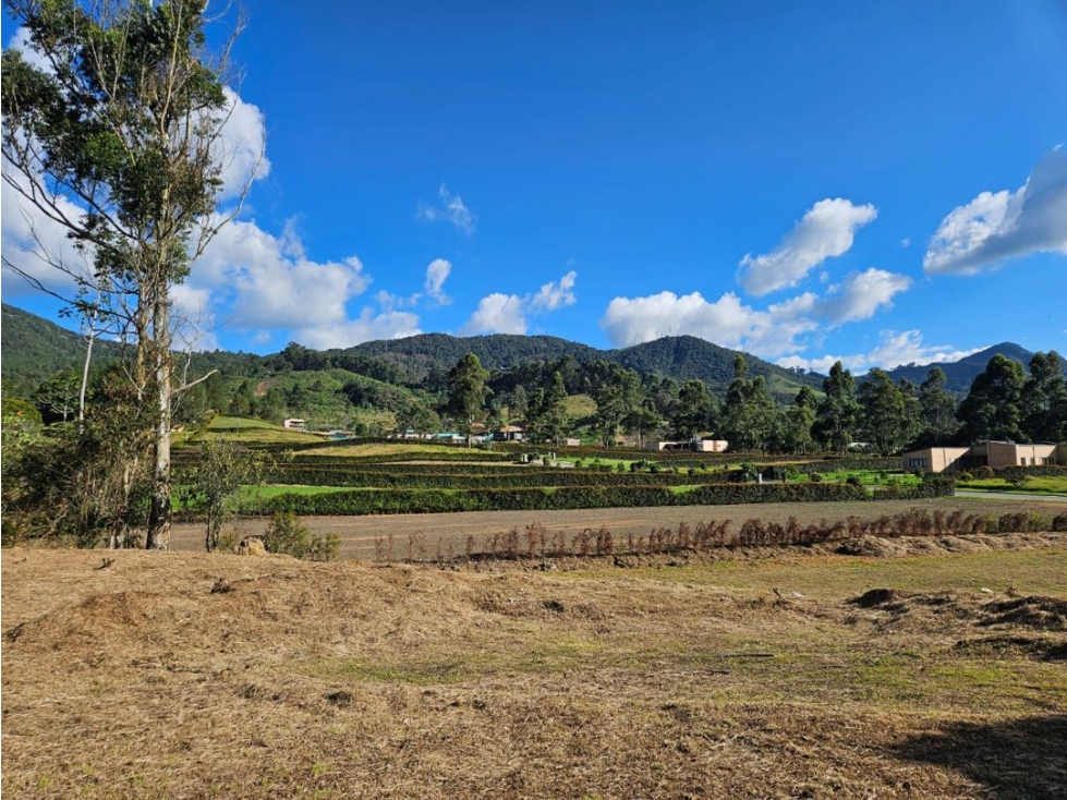 Venta Lote La Ceja Antioquía Vereda El Yarumo