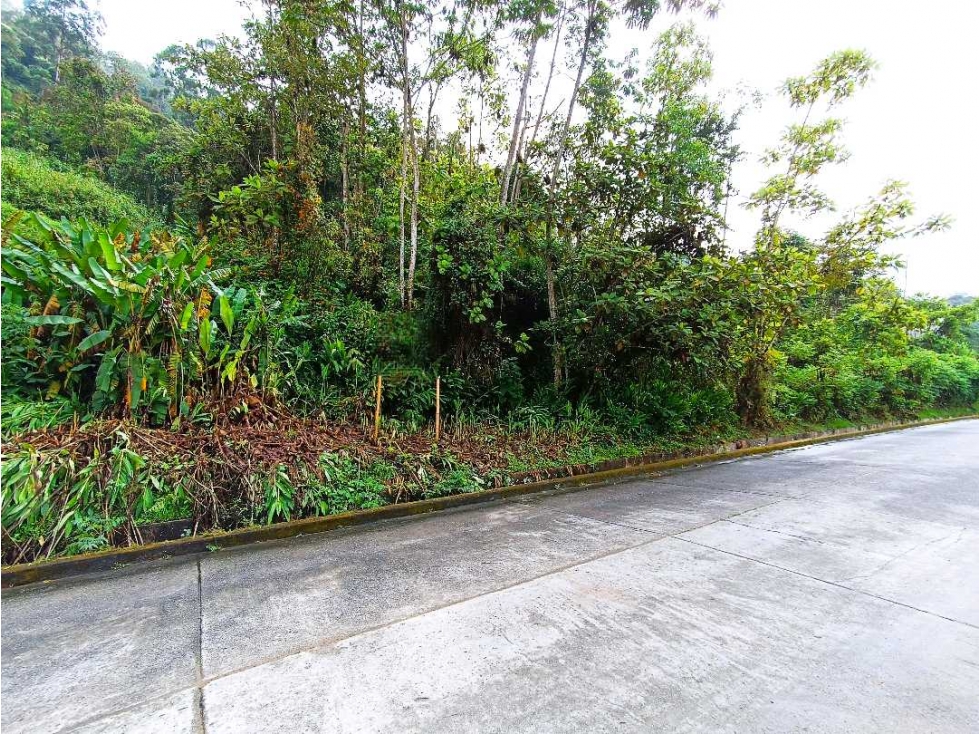Venta Lote La Francia Manizales — foto 2