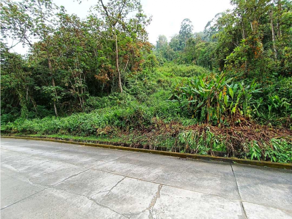 Venta Lote La Francia Manizales — foto 3