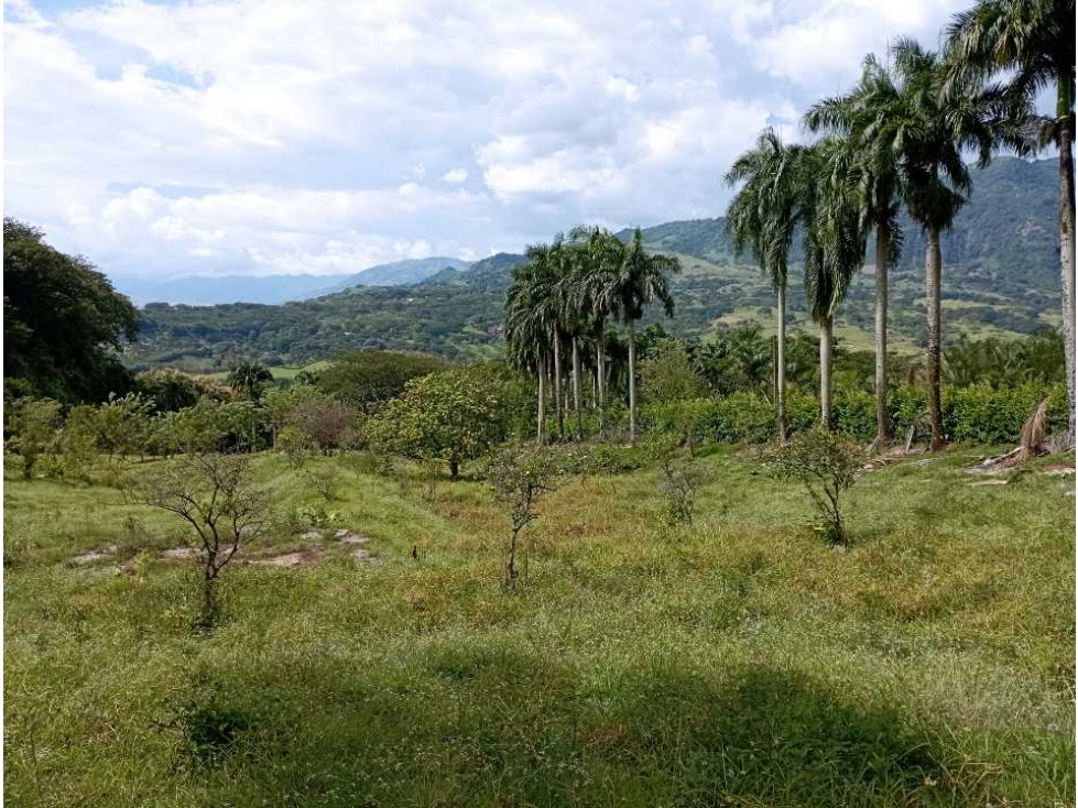 VENTA LOTE LA PINTADA SUROESTE ANTIOQUEÑO